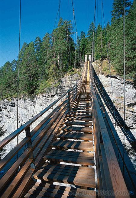 ���ݘ���ʿ��