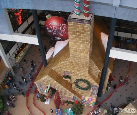 �������Ľ����