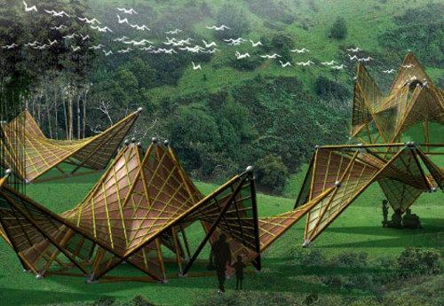 ���ۯB�ľo�����y��