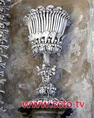 �˹ǠT�_(t��i)