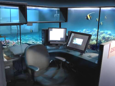 ����ȫ������������k���� ����Ȼ���k��