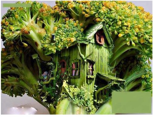 ��Ц����