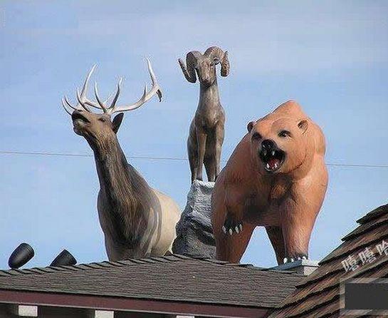 ��Ц����