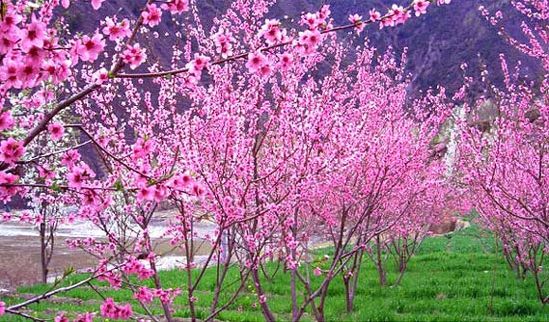 �����������h(hu��n)ttp://www.tunmint.cn/new/63_256/2010_8_18_du11918312181801021480.shtml