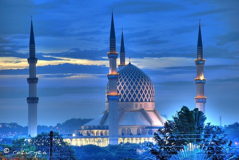 ������н�����5��