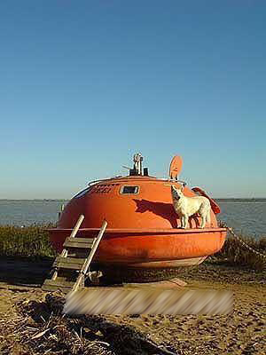 �殐�����^�����OӋ��5��