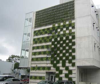 �ձ��Gɫ�����O(sh��)Ӌ(j��)