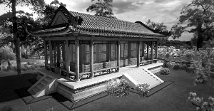 �U���_��