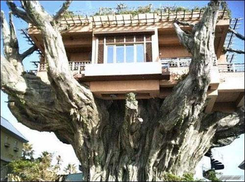 ����Ľ�����4��