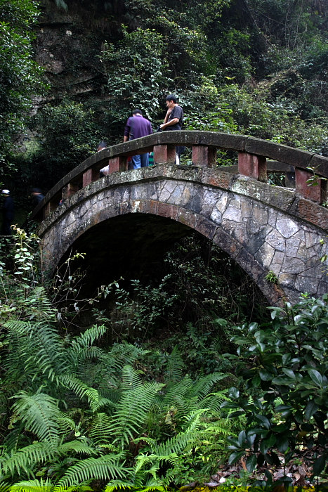 �����Ž�����5��