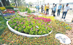 低碳花園展的集彩盒子區(qū)