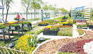 低碳花園展的綠色智慧區(qū)