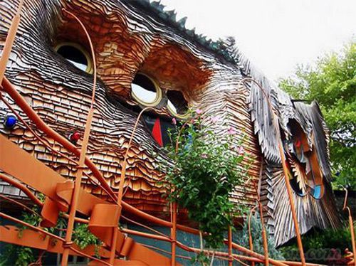 掛在老樹上的童話