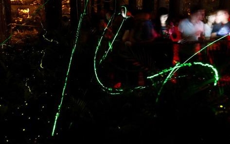 華中首家螢火蟲主題公園