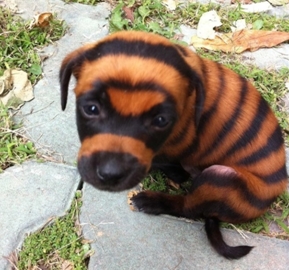 百步穿楊、直擊要害，王竹梅帶您笑傲“法”壇