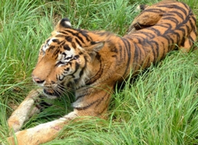 百步穿楊、直擊要害，王竹梅帶您笑傲“法”壇