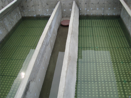 一級建造師考試復(fù)習(xí)重點(diǎn):水池里的秘密