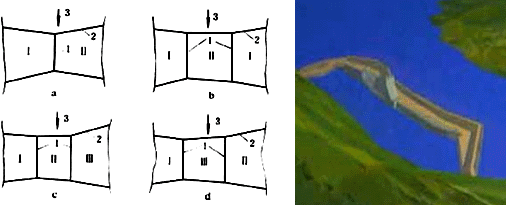 二級建造師水利實務(wù)知識點：導(dǎo)流方法