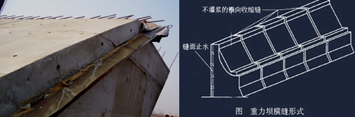 二級(jí)建造師水利實(shí)務(wù)知識(shí)點(diǎn):混凝土壩的構(gòu)造及作用