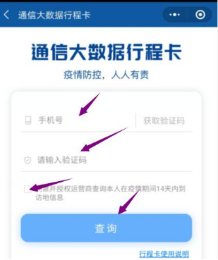 最后輸入自己的手機(jī)號(hào)碼，點(diǎn)擊查詢。