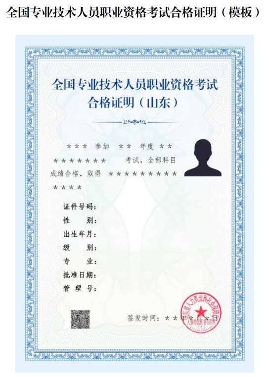 全國專業(yè)技術(shù)人員職業(yè)資格考試合格證明(山東) 全國專業(yè)技術(shù)人員職業(yè)資格考試合格證明(山東)